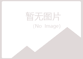 合山女孩金融有限公司